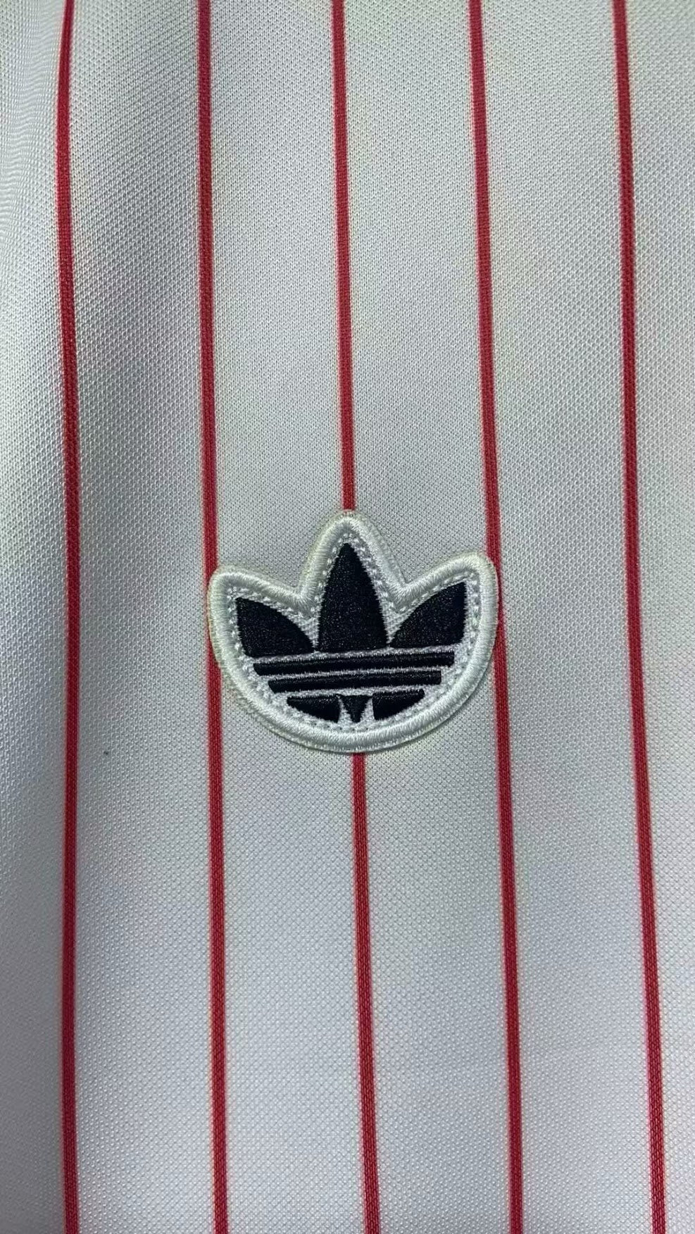 Camisola Sl Benfica 25/26 Edição Especial