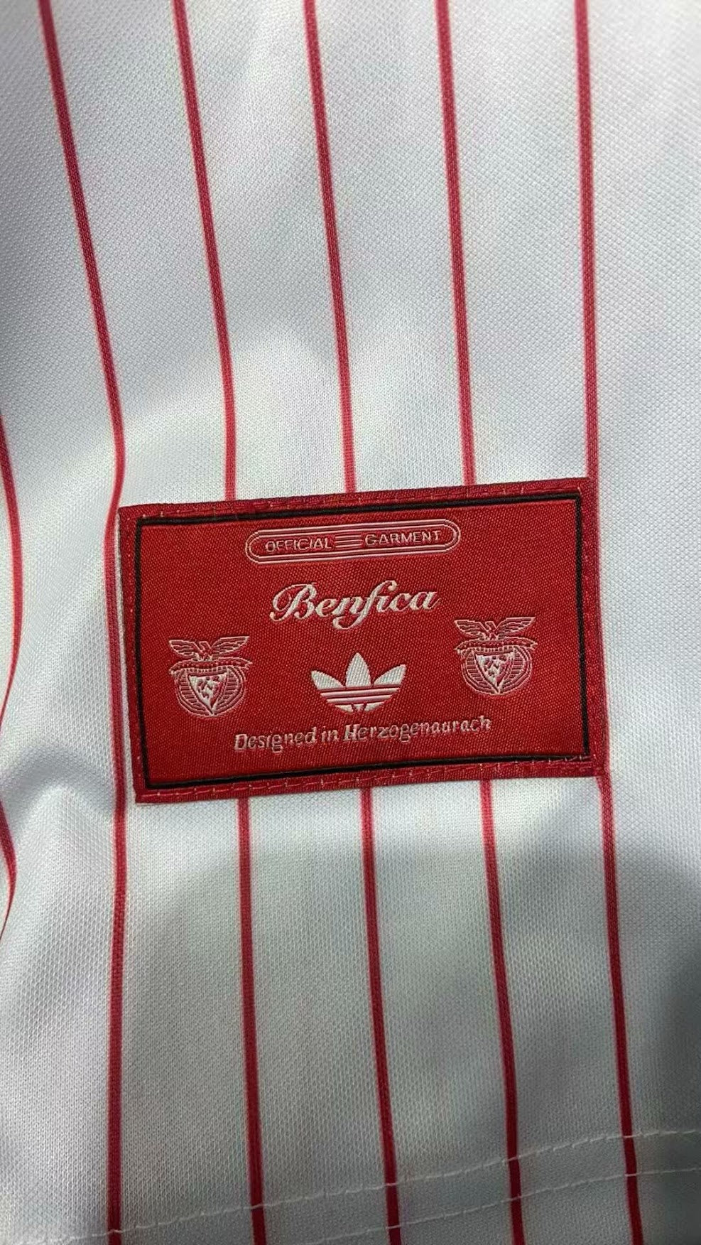 Camisola Sl Benfica 25/26 Edição Especial