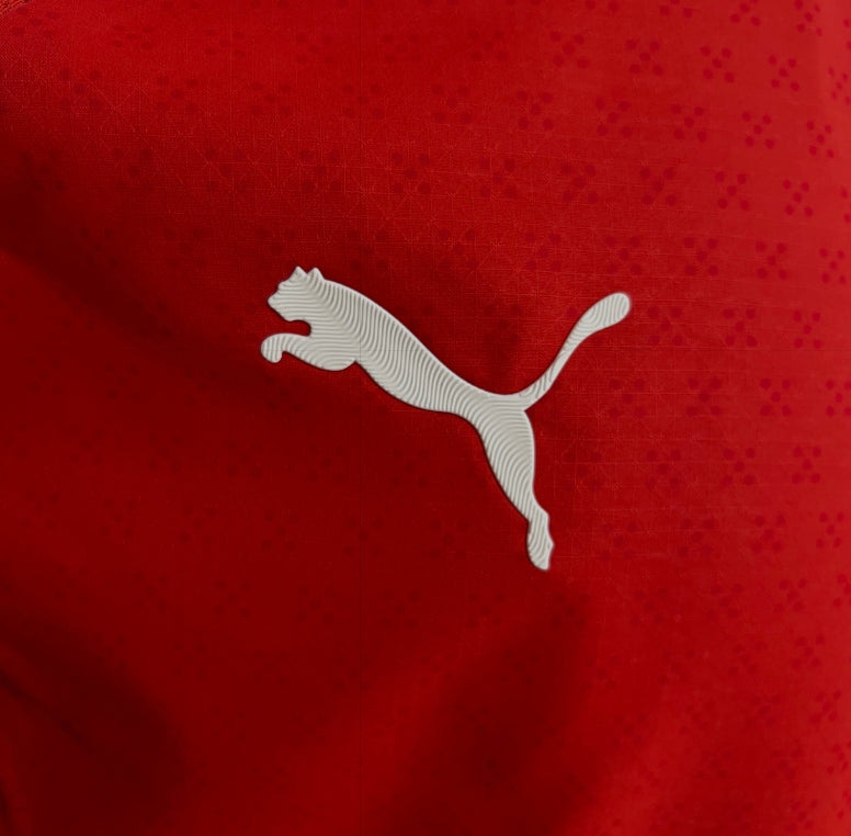 Camisola Portugal Principal 2025